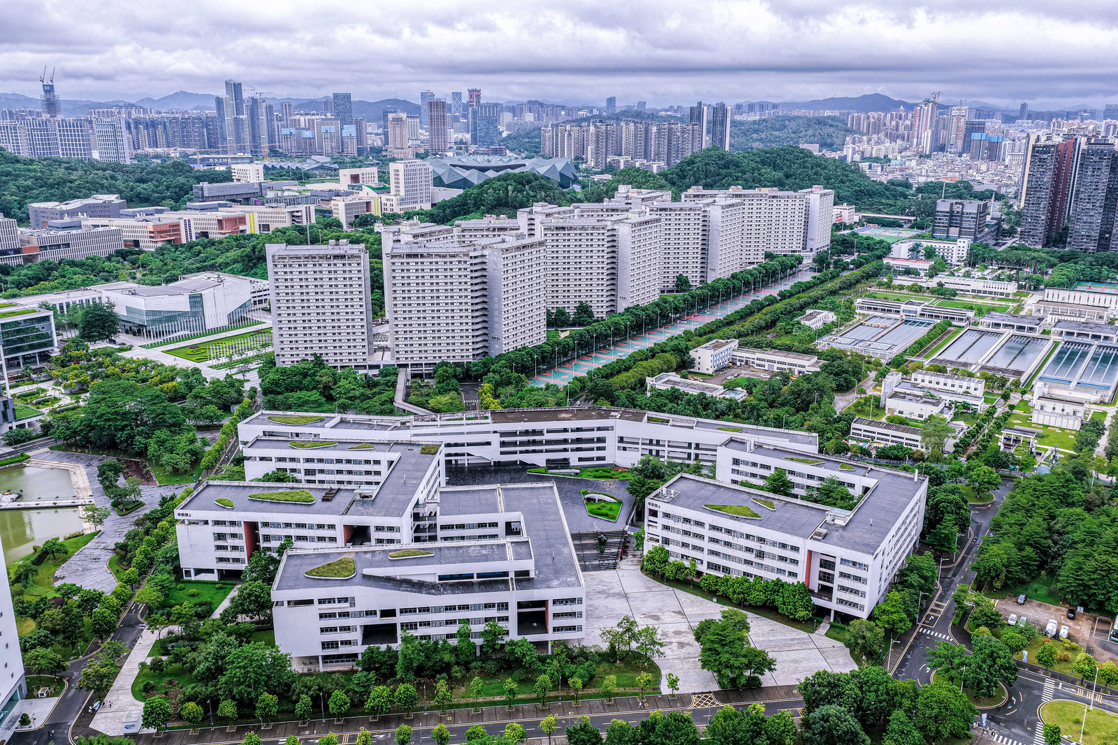 才深圳龙岗, 回顾, img 才深圳龙岗, 回顾, img