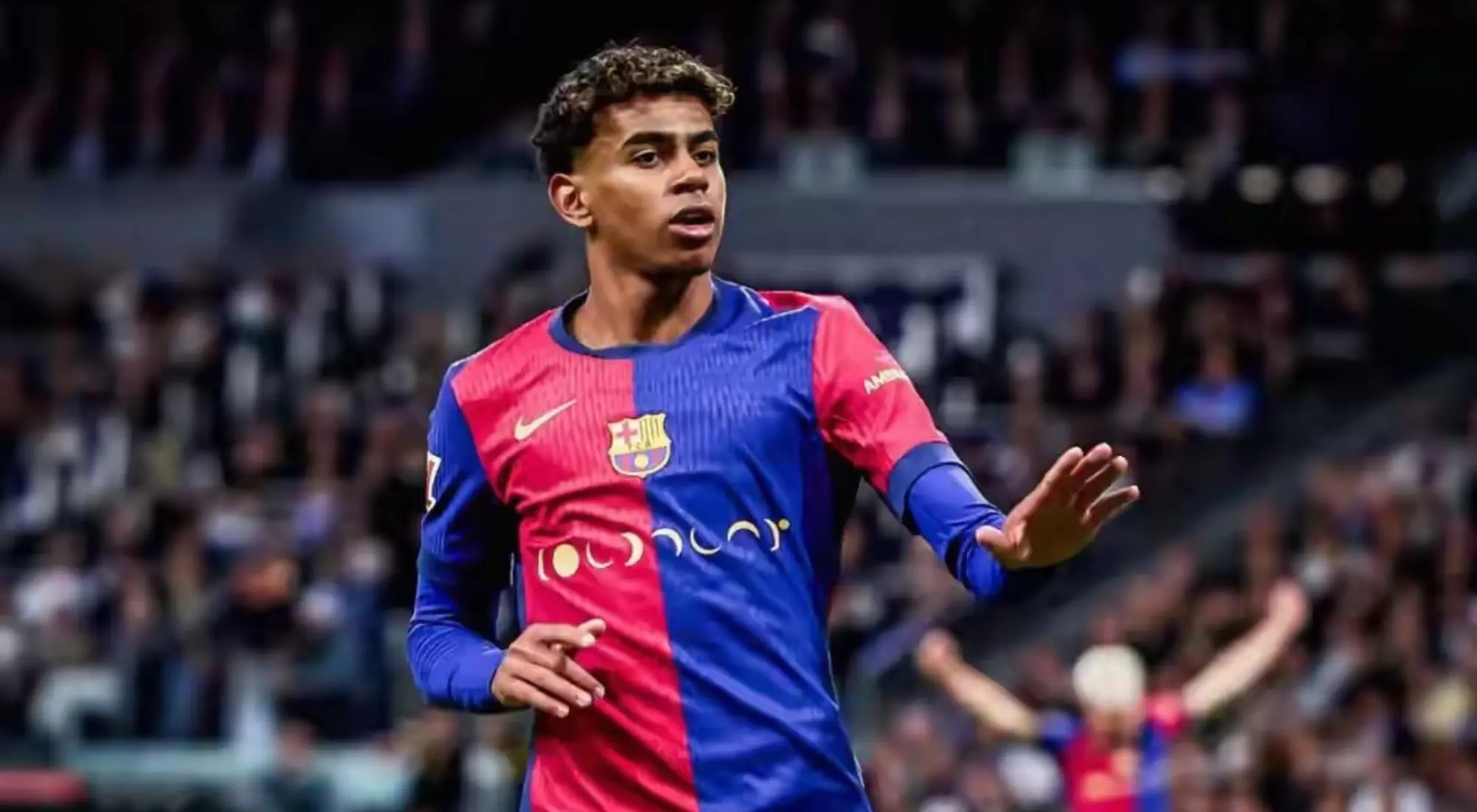 entit, 关键是, 不知道应该